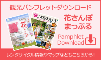 観光パンフレット