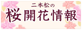 二本松の桜開花情報