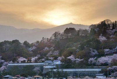 入選「霞ヶ城公園の桜」の写真