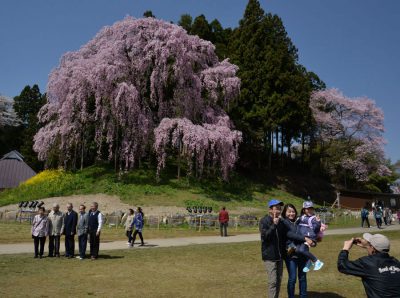 優秀賞「記念写真」の写真