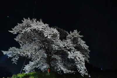 入選「お地蔵様」の写真