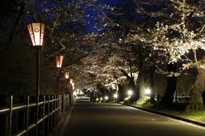 入選「岳温泉の花道」の写真