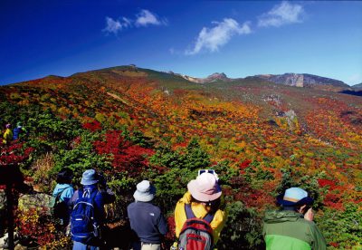 最優秀賞「ほんとうの空の下」の写真