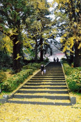 優秀賞「晩秋の頃」の写真
