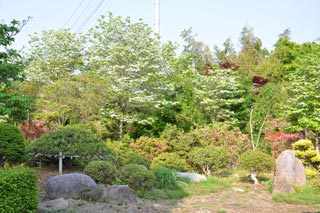 大稲場グリーンパークの写真6