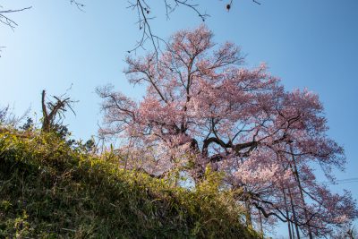 IMG_2227