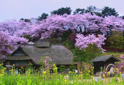 安達ヶ原ふるさと村01