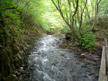平滑の床の写真