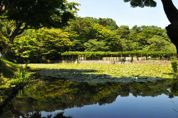 霞ヶ池の写真