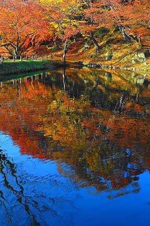 2005二本松の四季フォトコンテスト 「秋」の部最優秀作品「霞が池秋の水鏡」の写真