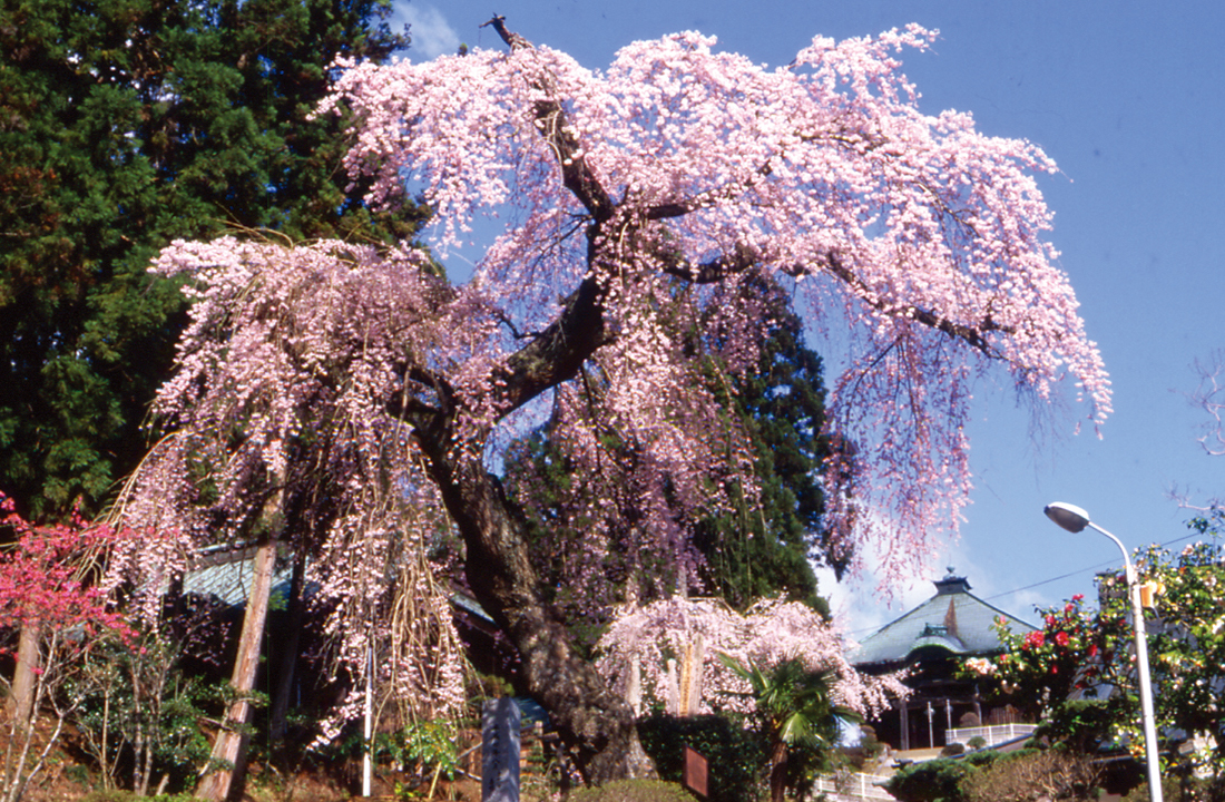 満福寺