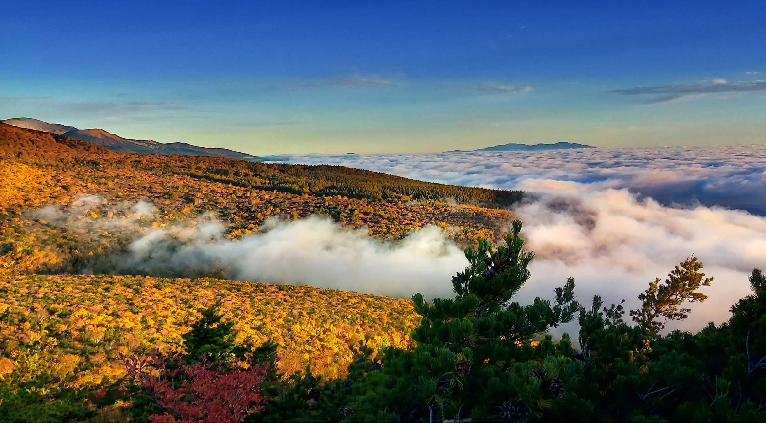安達太良山からの画像